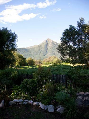 Bed & Breakfast Andelomi Forest Lodge