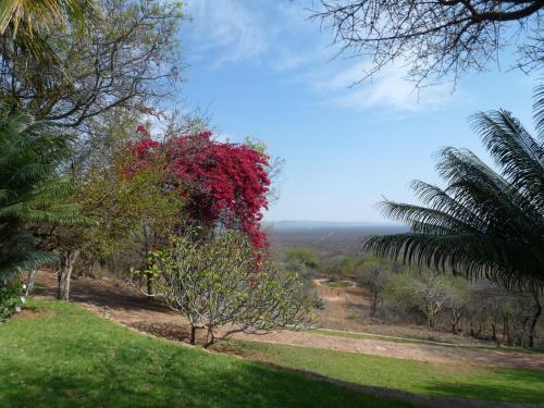 Bed & Breakfast Ehlathini Lodge