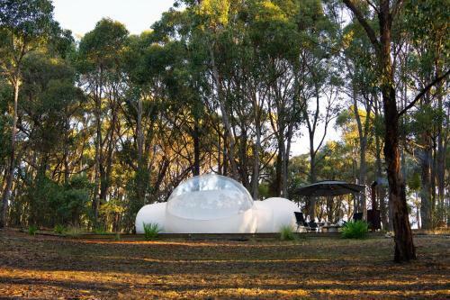 Skyview Bubbletent