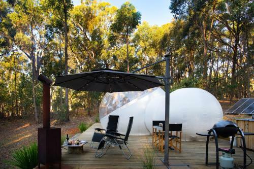 Skyview Bubbletent