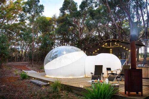 Skyview Bubbletent
