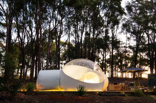 Skyview Bubbletent