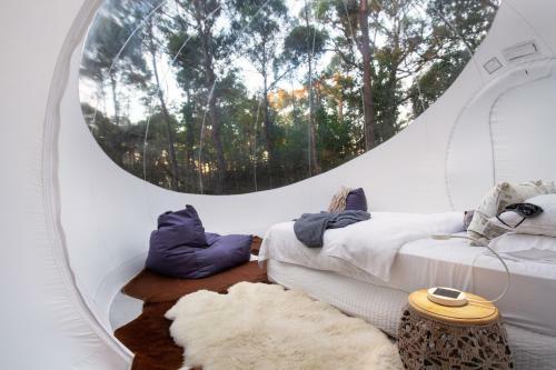Skyview Bubbletent