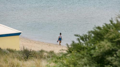 Apartamento Absolute Beachfront - Frankston