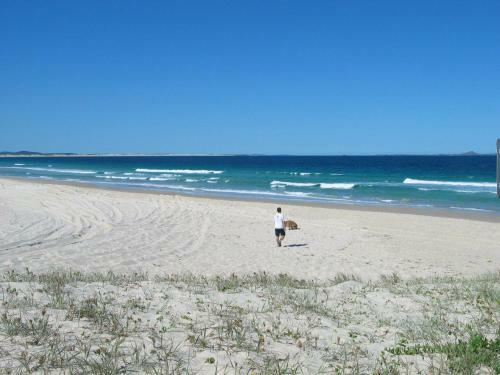 Pet Friendly - Summer Cottage