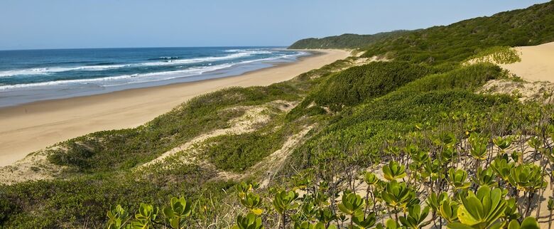 Thonga Beach Lodge