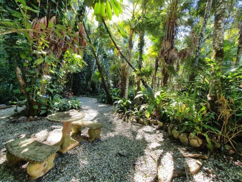 Lodge Cassowary House