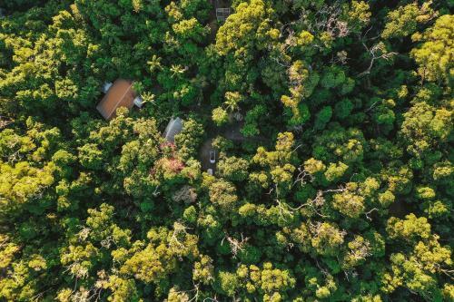 Lodge Cassowary House