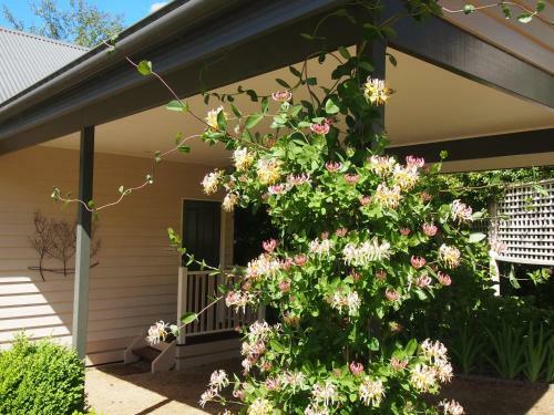 Villa Delderfield Cottages