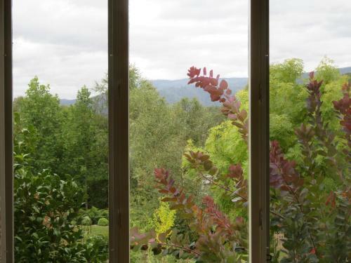 Villa Delderfield Cottages