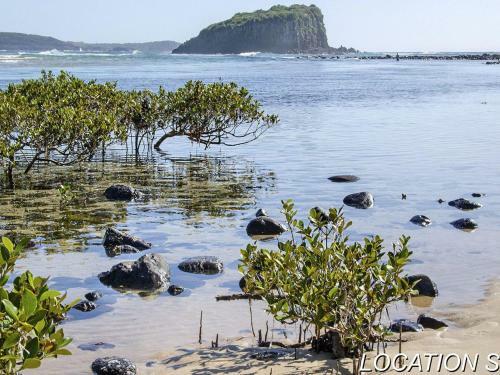 Minnamurra Island View