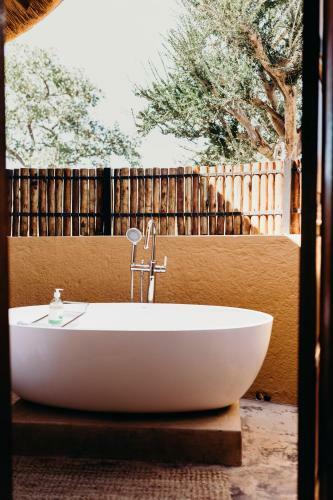 Mopane Bush Lodge