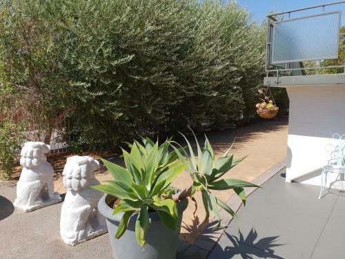Apartamento Mt.lawley Superb 2 Br Location Comfort, Style 3