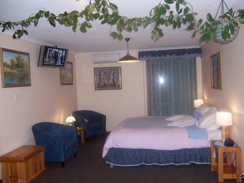 Hostal Adelaide Hills B&B Accommodation