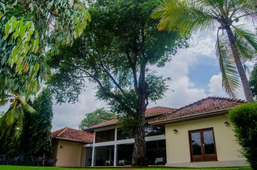 Tamarind Tree Hotel