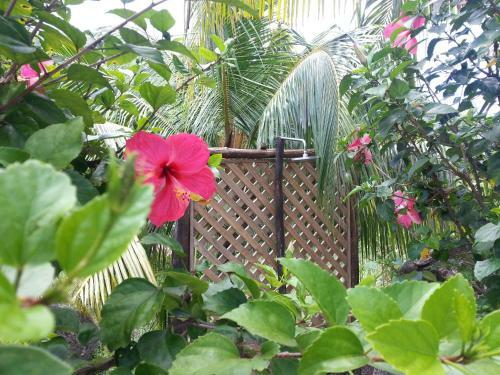 Bed & Breakfast Zanboza Guesthouse Self Catering