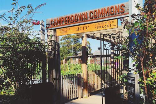 Stylish Camperdown Apartment And Parking Inc