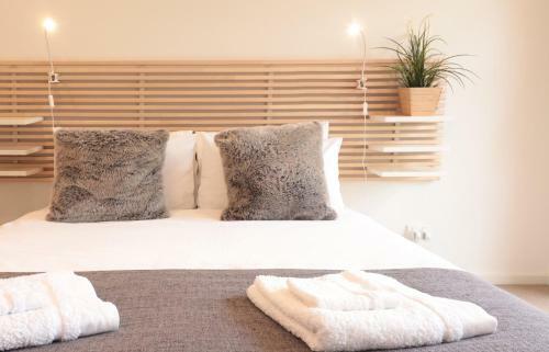 Luxe - Park Views, Wine, Wifi, Netflix, Garage, Pets Ok!