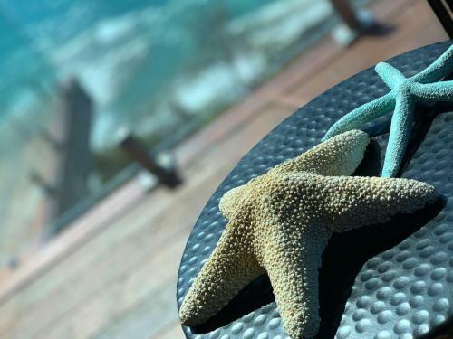 The Deck House - A Wye River Icon