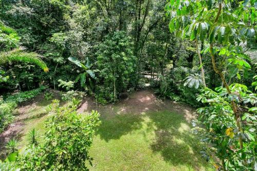 The Secret Treehouse