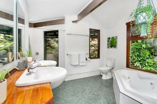 The Secret Treehouse