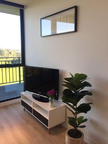 Apartamento Frankie306