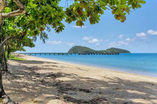 Windfall In Palm Cove