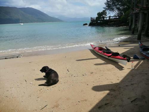 Turtle Reef Bed & Breakfast Cairns