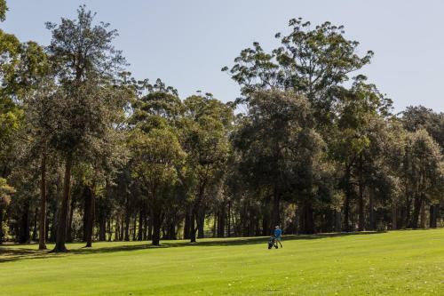 Golfer's Retreat, Mollymook
