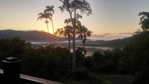 Daintree Holiday Homes - Yurara