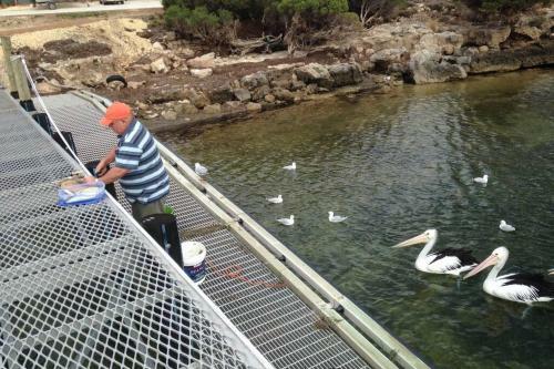 Almonta Apartments On The Water Front