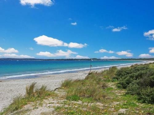 Sol Haven - Fresh And Inviting