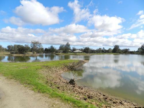 Golden Ponds