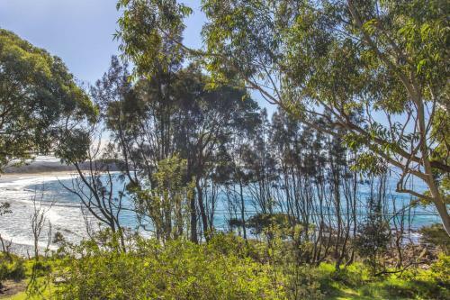 Surfers Ave 17 Narrawallee