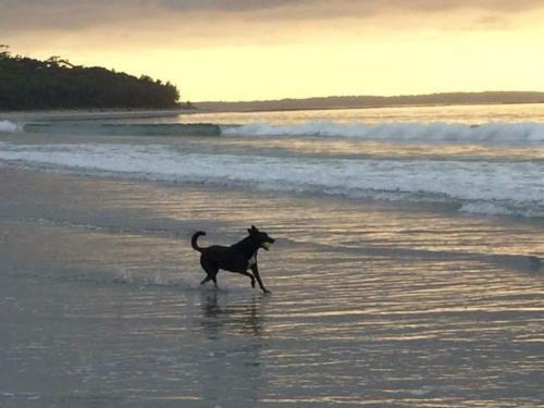 Callala Beach Shack - Pet Friendly
