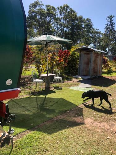 Fraser Coast Rv Park - Gypsy Wagon