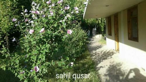 Hotel Sahil