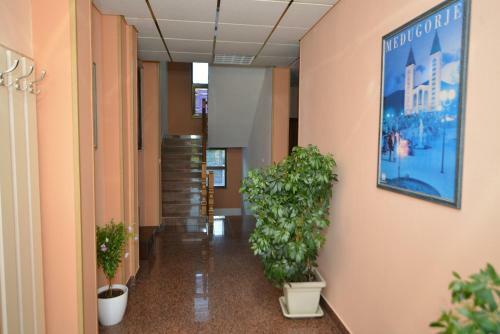 Hostal Pansion Park