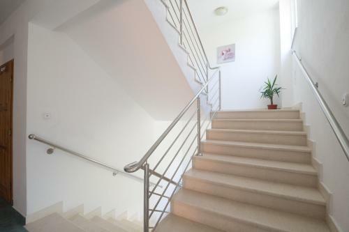 Apartments Matej