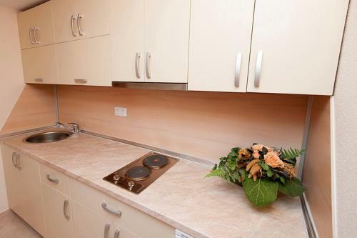 Apartamentos Villa Maric