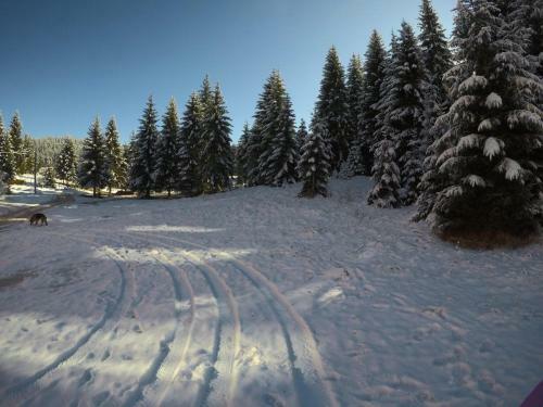 Apartamento Groodvy Jahorina