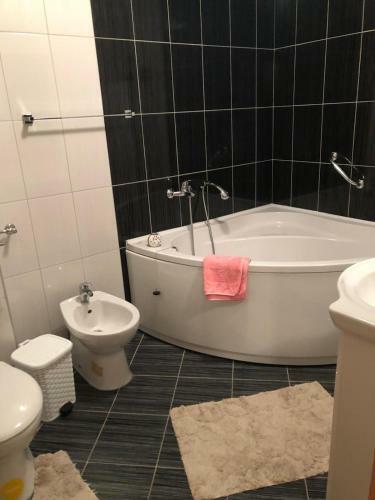 Apartment Sanja