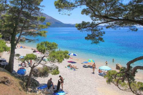 Luxury Villa Violeta With Pool And Jacuzzi Near Dubrovnik