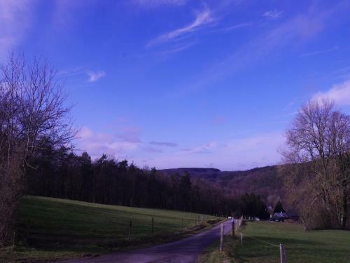 Scenic Holiday Home In Aywaille With Jacuzzi, Barbeque