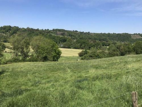 Vakantiehuis Durbuy Nature