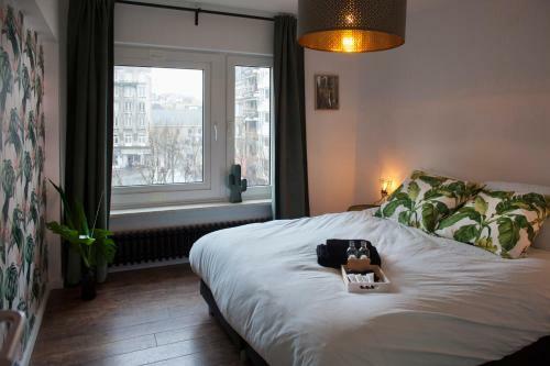 Apartamento #kaaistraat2