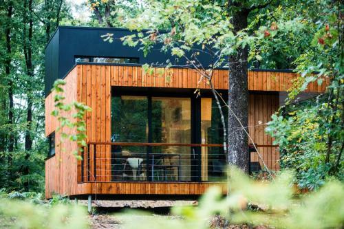 Forest Cube