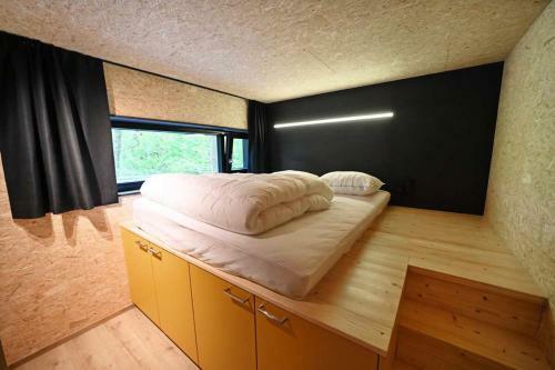 Forest Cube