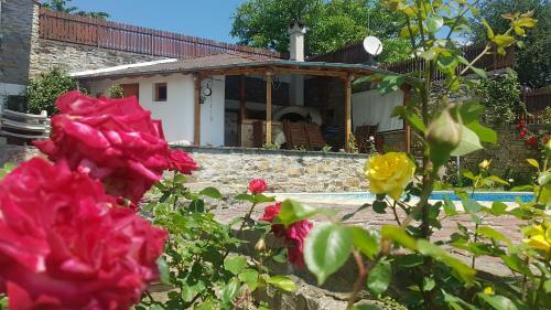 Hostal Rosarium Residence Guest House