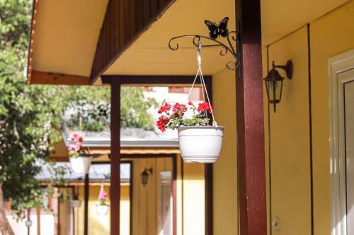 23 Persons Bungalow In Nice Forest